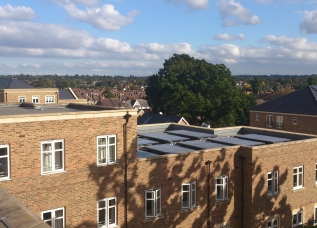 Solar Panel Cleaning